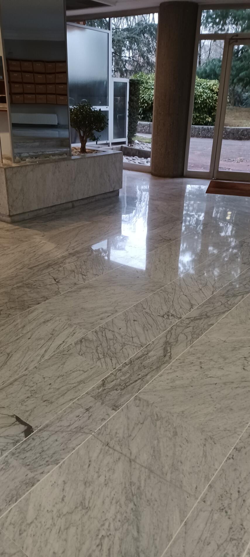 Photo d'un sol d'un hall d'entrée en marbre gris