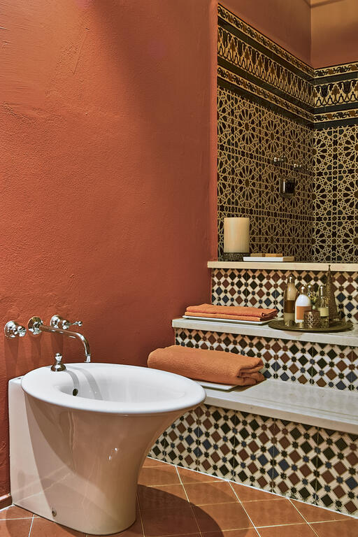 Photo d'un WC avec un mur en terre cuite